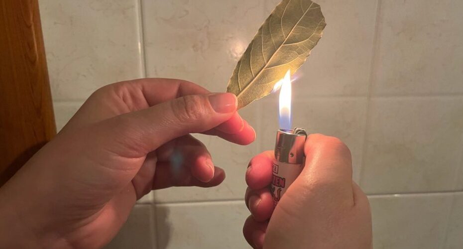 Quema 1 hoja de salvia en casa y 5 minutos después notarás sus efectos.