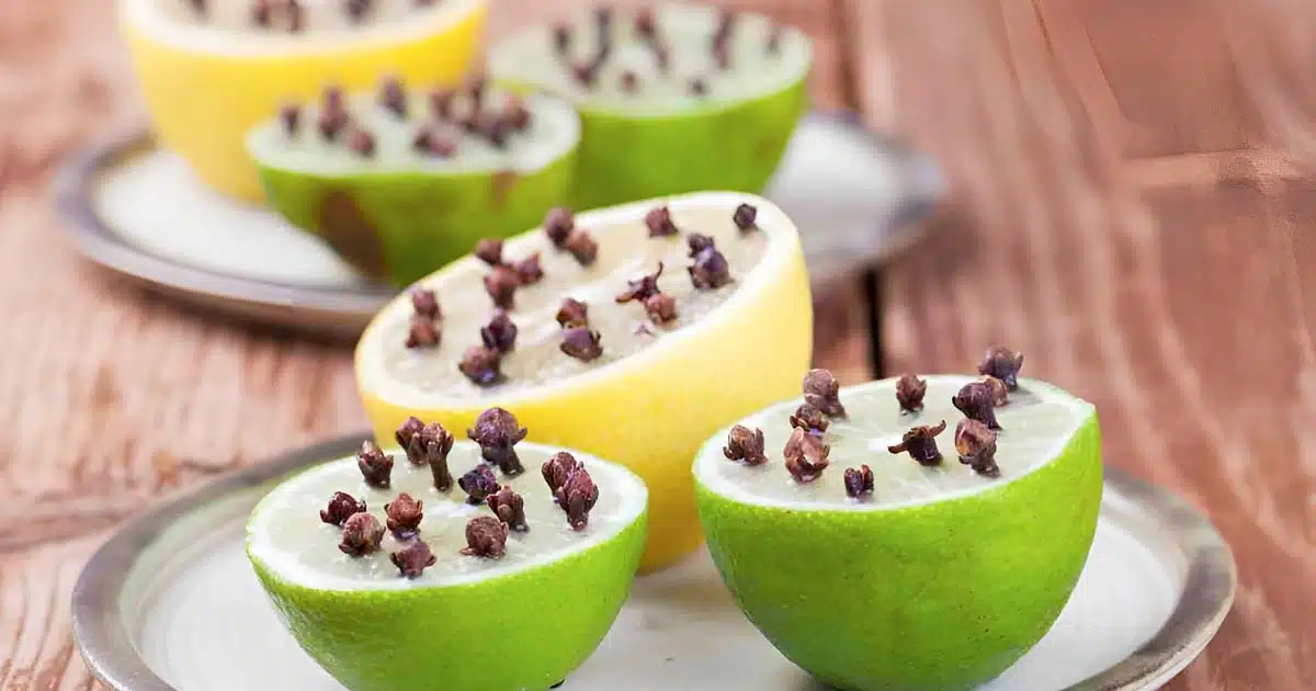 ¿Cómo perfumar la nevera con un limón y clavo?