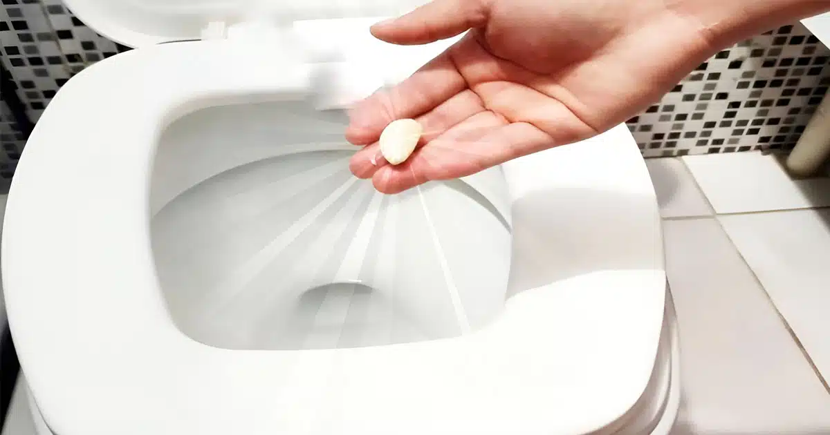 ¿Por qué hay que tirar un diente de ajo al inodoro?