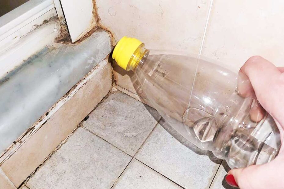 Cómo eliminar el moho de los rieles de la ducha y de la silicona