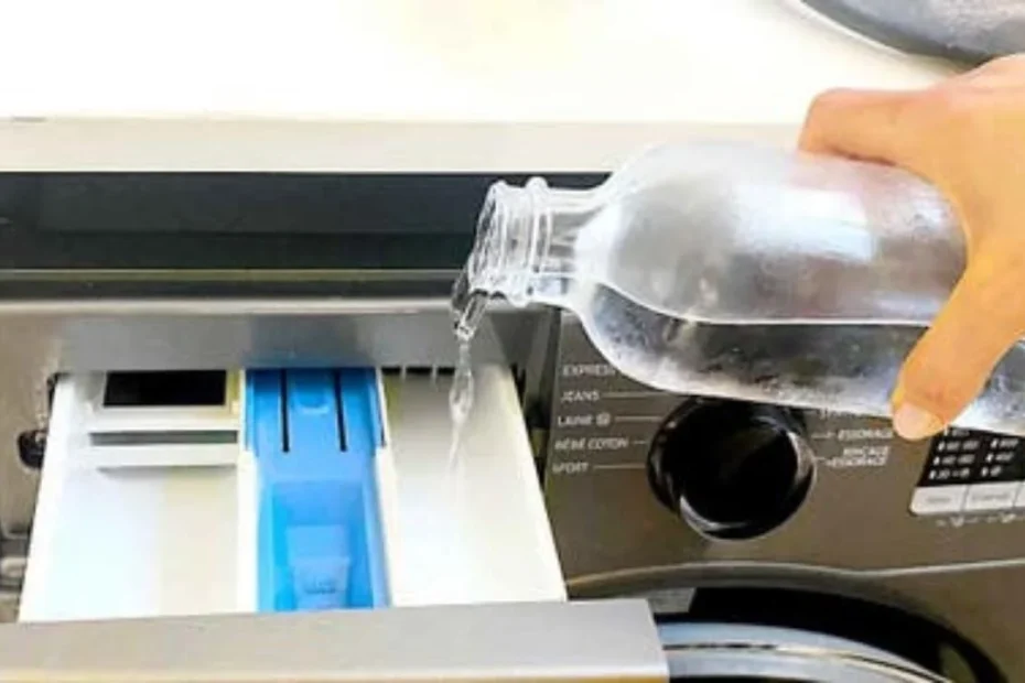 LAVADORA LIMPIA DE ARRIBA ABAJO POR SOLO 3 CÉNTIMOS: EL CAL Y LOS MALOS OLORES DESAPARECERÁN