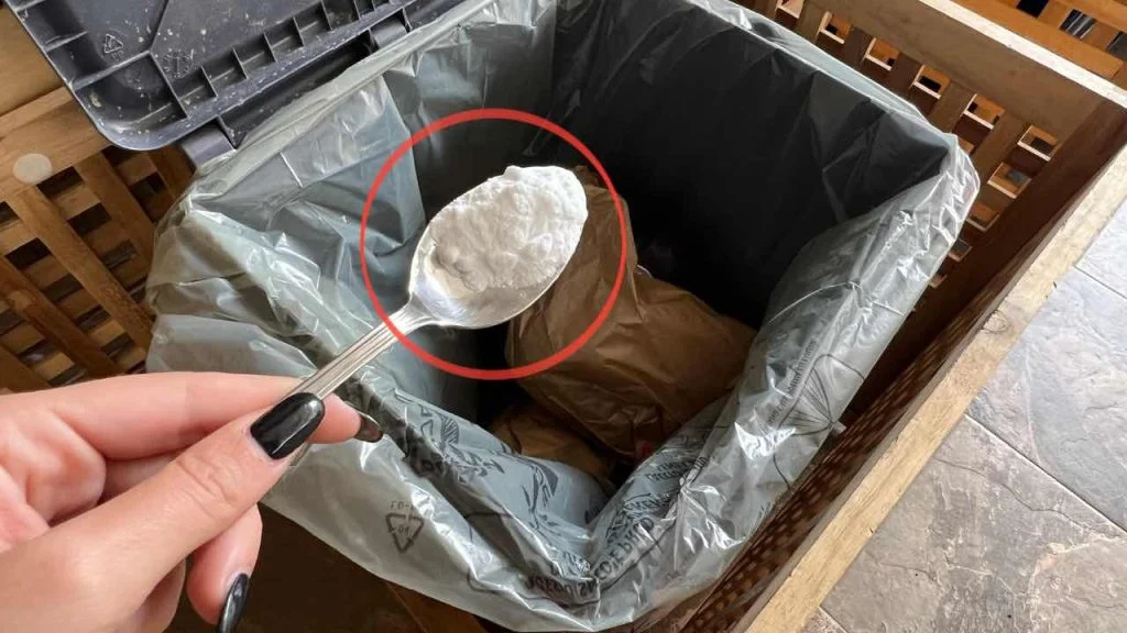 Cómo eliminar los malos olores de la basura: basta con una pizca.