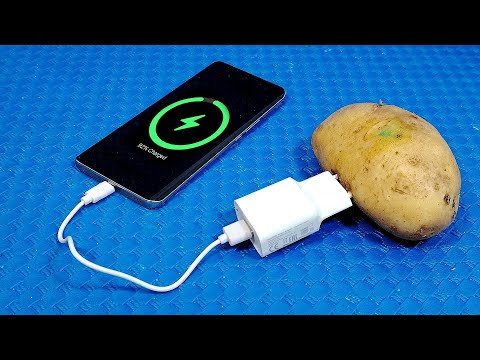 Comment générer de l’électricité gratuite à partir de pommes de terre