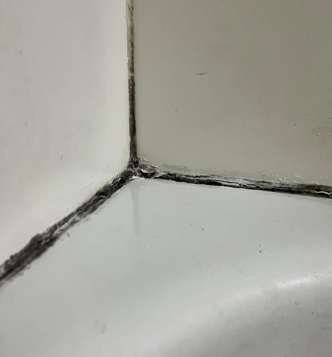 how to clean mouldy silicone