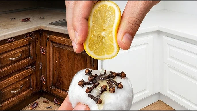 ¡El truco con el clavo que salvó mi casa! (¡Hasta mis vecinos me pidieron el secreto!)