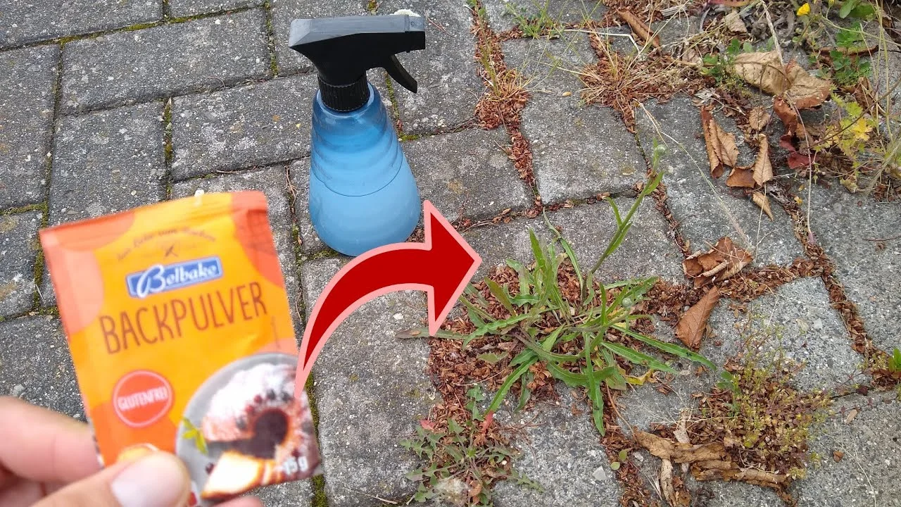 🚨 Dessherber con bicarbonato: ¡el truco sencillo, rápido y sin esfuerzo! 😱🌿