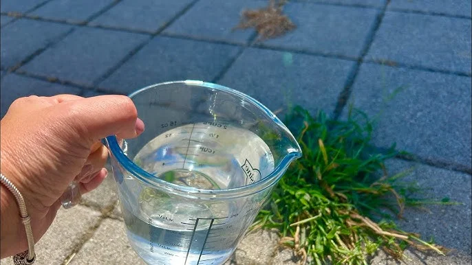 👉Una sola gota es suficiente y las malezas se secan al instante! De una eficacia temible