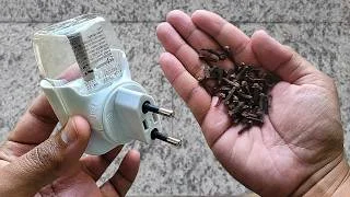 Colocar clavo de clavo en un difusador vacío: un truco para evitar los mosquitos que se debe usar con precaución