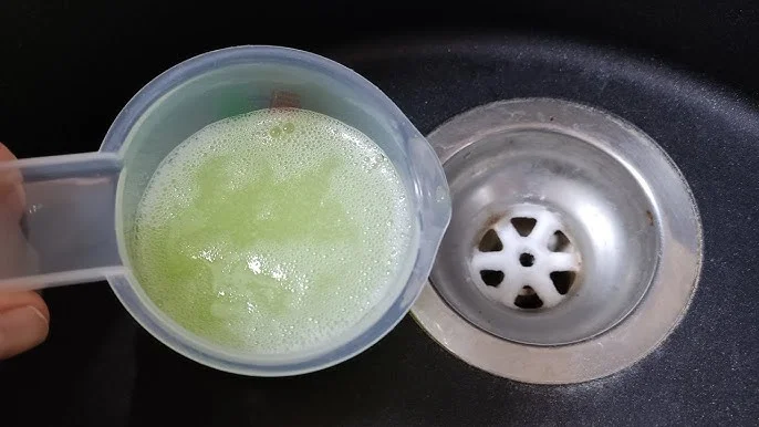 Cómo eliminar las cucarachas al instante, sin veneno y sin gastar ni un céntimo.