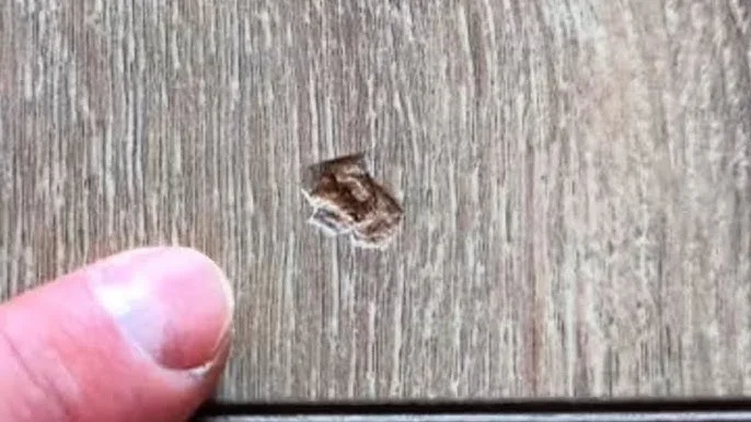 REPARACIÓN DE LAMINADO DIY: cómo reparar perfectamente un laminado dañado en 5 minutos.