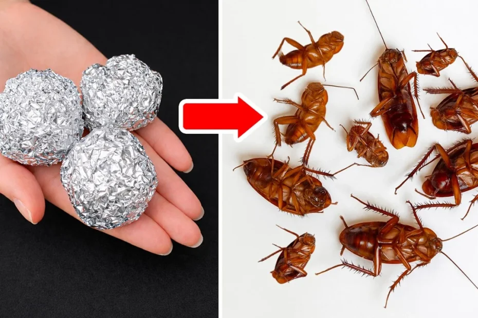 Eliminar rápidamente las cucarachas con papel de aluminio: truco sencillo y eficaz.