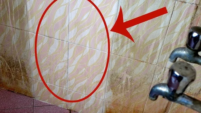 Cómo limpiar fácilmente los azulejos del baño | Consejos para la limpieza del baño