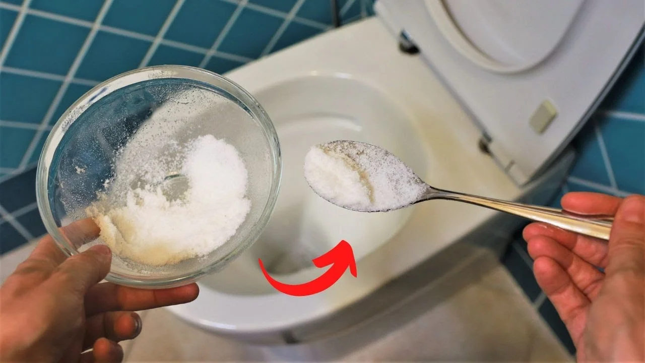 Limpiar el baño sin levantar un dedo!