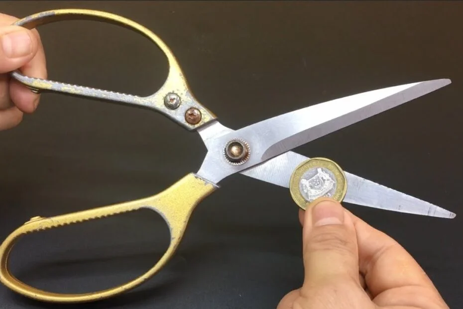 Tijeras AFILADAS como una RASURADORA con una sola pieza. ¡Sin herramientas, sin problemas!