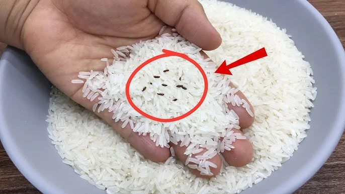 Arroz lleno de punzones? ¡El truco de 2 minutos de un vendedor de arroz para eliminarlos!